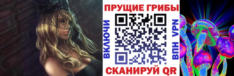 мега как войти наркошоп Свирск Псилоцибиновые грибы мицелий